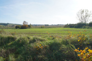 Działka na sprzedaż 8360m2 strzeliński Kondratowice Prusy - zdjęcie 1