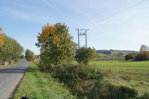 Działka na sprzedaż 8360m2 strzeliński Kondratowice Prusy - zdjęcie 2