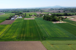 Działka na sprzedaż 22400m2 wrocławski Kobierzyce Nowiny - zdjęcie 4