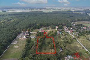 Działka na sprzedaż 9700m2 obornicki Rogoźno - zdjęcie 3