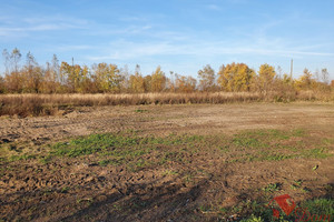 Działka na sprzedaż 9303m2 obornicki Rogoźno Garbatka - zdjęcie 2