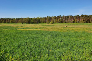 Komercyjne na sprzedaż 1434m2 obornicki Ryczywół Wiardunki - zdjęcie 3