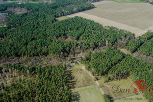 Działka na sprzedaż 125106m2 wągrowiecki Skoki Roszkowo - zdjęcie 1