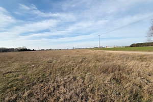 Działka na sprzedaż gnieźnieński Gniezno Kalina - zdjęcie 2