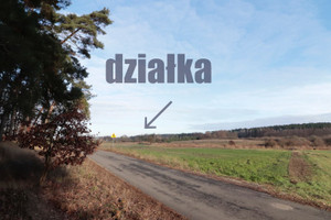 Działka na sprzedaż 3002m2 żniński Gąsawa Oćwieka Oćwieka - zdjęcie 2