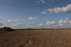 Działka na sprzedaż 1200m2 gnieźnieński Niechanowo Goczałkowo Cielimowo Gurówko okolice - Goczałkowo - zdjęcie 1