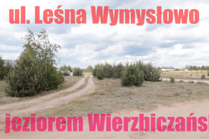 Działka na sprzedaż 1045m2 gnieźnieński Trzemeszno Wymysłowo Leśna - zdjęcie 2