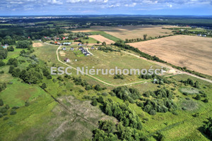 Działka na sprzedaż 1212m2 pilski Szydłowo Cyk - zdjęcie 2