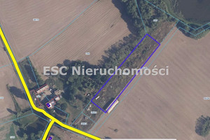 Działka na sprzedaż 6594m2 pilski Szydłowo Kłoda - zdjęcie 1