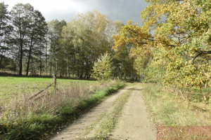 Działka na sprzedaż 3360m2 grodziski Grodzisk Wielkopolski Albertowsko - zdjęcie 1