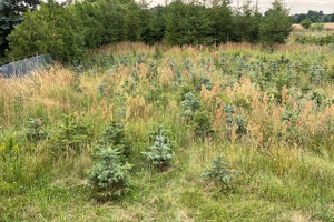 Działka na sprzedaż 4009m2 poznański Murowana Goślina Długa Goślina Długa Goślina - zdjęcie 2