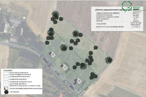 Działka na sprzedaż 10988m2 wągrowiecki Skoki Budziszewice Budziszewice - zdjęcie 3