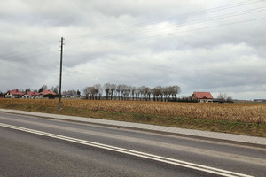 Działka na sprzedaż 8750m2 poznański Buk Bohaterów Bukowskich - zdjęcie 3