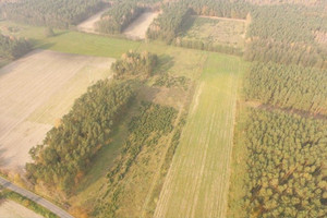 Działka na sprzedaż 1021m2 gnieźnieński Czerniejewo Graby - zdjęcie 3