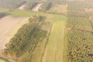 Działka na sprzedaż 1021m2 gnieźnieński Czerniejewo Graby - zdjęcie 4