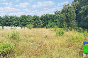 Działka na sprzedaż 2004m2 zgierski Aleksandrów Łódzki Rąbień Romanowska - zdjęcie 3