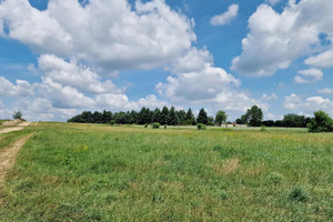 Działka na sprzedaż 1000m2 Łódź Widzew Dolina Łódki - zdjęcie 1