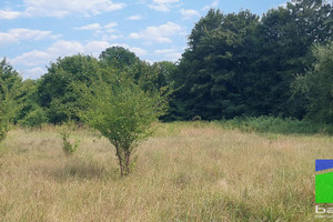 Działka na sprzedaż 2004m2 zgierski Aleksandrów Łódzki Rąbień Romanowska - zdjęcie 2