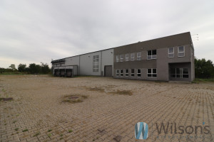 Komercyjne do wynajęcia 2830m2 grójecki Belsk Duży - zdjęcie 1