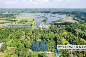 Działka na sprzedaż 2200m2 grodziski Żabia Wola Grzegorzewice Pałacowa - zdjęcie 1