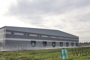 Komercyjne do wynajęcia 2700m2 pruszkowski Michałowice Pęcice - zdjęcie 2