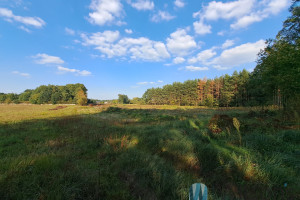 Działka na sprzedaż 24880m2 płocki Radzanowo Nowe Boryszewo - zdjęcie 2