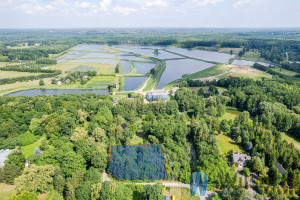 Działka na sprzedaż 2200m2 grodziski Żabia Wola Grzegorzewice Macierzanki - zdjęcie 2