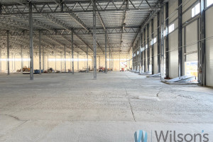 Komercyjne do wynajęcia 2000m2 pruszkowski Michałowice - zdjęcie 3