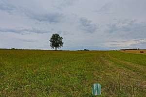 Działka na sprzedaż 4594m2 pucki Puck Osłonino Leśna - zdjęcie 3