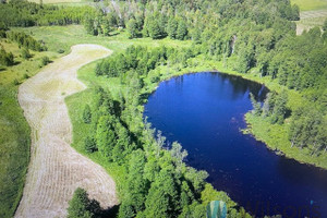 Działka na sprzedaż 150000m2 giżycki Wydminy - zdjęcie 3