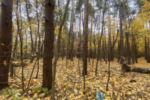 Działka na sprzedaż 2101m2 Warszawa Białołęka Mazurska - zdjęcie 1