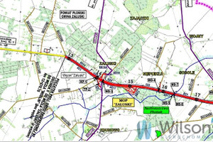 Działka na sprzedaż 7900m2 płoński Załuski Mazowieckie Pow. Płoński S - zdjęcie 2