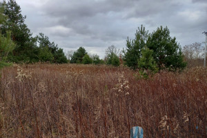 Działka na sprzedaż 34000m2 legionowski Jabłonna Skierdy Sowia - zdjęcie 1