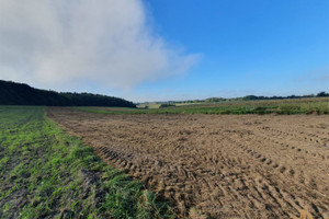 Działka na sprzedaż 6300m2 krakowski Wielka Wieś Czajowice Ojcowska - zdjęcie 1