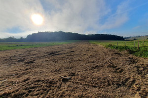 Działka na sprzedaż 6300m2 krakowski Wielka Wieś Czajowice Ojcowska - zdjęcie 3