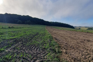 Działka na sprzedaż 6300m2 krakowski Wielka Wieś Czajowice Ojcowska - zdjęcie 2