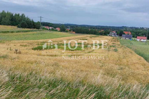 Działka na sprzedaż 8300m2 świdnicki Żarów Wierzbna Zielone Wzgórze - zdjęcie 1