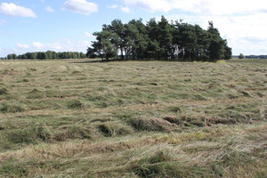 Działka na sprzedaż 671630m2 czarnkowsko-trzcianecki Wieleń Herburtowo - zdjęcie 1