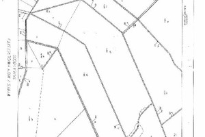 Działka na sprzedaż 769068m2 gryfiński Mieszkowice Kłosów - zdjęcie 2