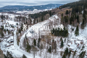 Działka na sprzedaż 4900m2 kłodzki Stronie Śląskie Kletno - zdjęcie 2