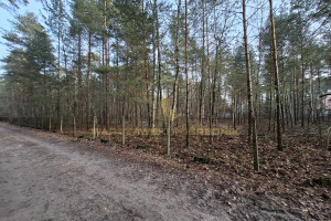 Działka na sprzedaż 3000m2 warszawski zachodni Izabelin Izabelin C - zdjęcie 1