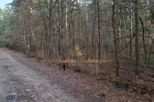 Działka na sprzedaż 1500m2 warszawski zachodni Izabelin Izabelin C - zdjęcie 2