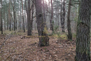 Działka na sprzedaż 3000m2 warszawski zachodni Izabelin Izabelin C - zdjęcie 3