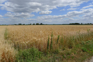 Działka na sprzedaż 5891m2 zgierski Głowno Wola Mąkolska - zdjęcie 4