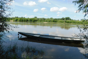 Działka na sprzedaż 790m2 puławski Puławy 6 Sierpnia - zdjęcie 1