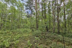 Działka na sprzedaż 1098m2 otwocki Wiązowna Malcanów - zdjęcie 1