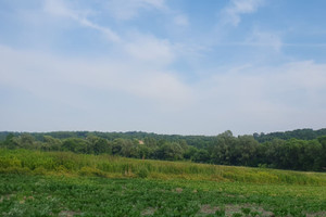 Działka na sprzedaż Kraków Zwierzyniec Olszanica Olszanicka - zdjęcie 4