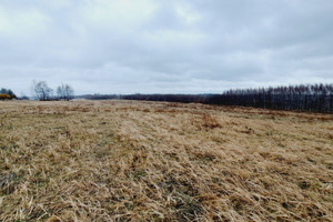 Działka na sprzedaż krakowski Sułoszowa Wola Kalinowska Kaliski - zdjęcie 3