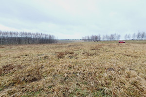 Działka na sprzedaż krakowski Sułoszowa Wola Kalinowska Kaliski - zdjęcie 4