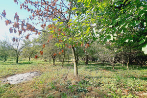 Działka na sprzedaż 1200m2 krakowski Iwanowice Maszków Kolonia - zdjęcie 3